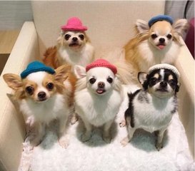 okpay钱包安卓版亮点