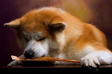 TRX钱包手机ios下载钱包
