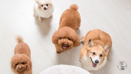 imtoken苹果钱包