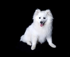 tp钱包新版下载