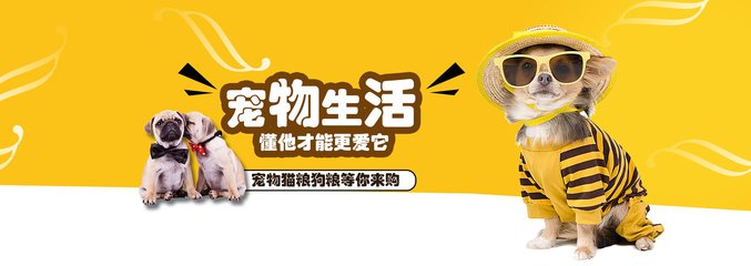 比特币钱包官网下载