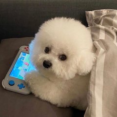 ok钱包下载官方