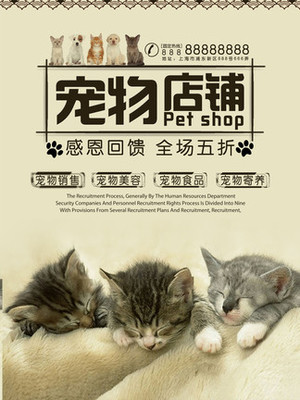 FTM钱包app官网钱包