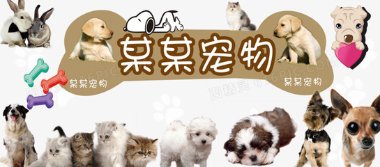 官网imToken最新版