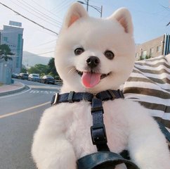 imtoken转账教程